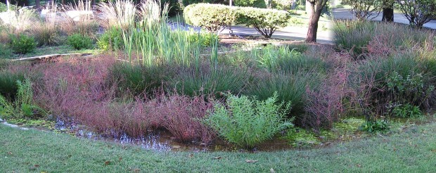 landscape 2
